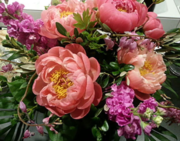 Blumen Van Doorne